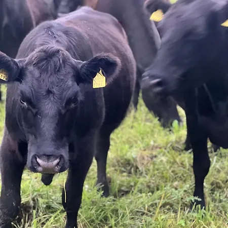 بيت للعطل Privaatne Talu Otse Mere Aeaeres