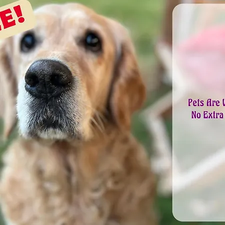 Privaatne Talu Otse Mere Aeaeres *