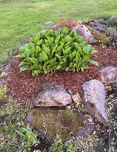 Σπίτι διακοπών Privaatne Talu Otse Mere Aeaeres *