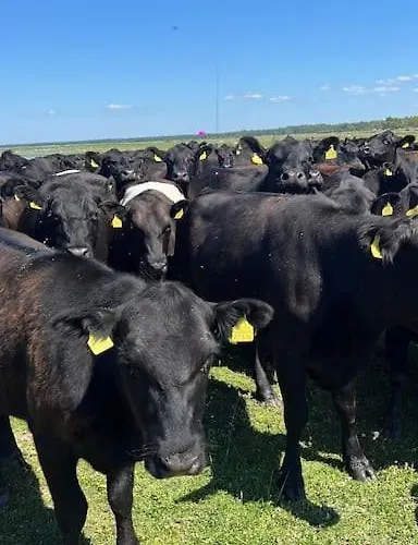 Privaatne Talu Otse Mere Aeaeres * Tahkuranna