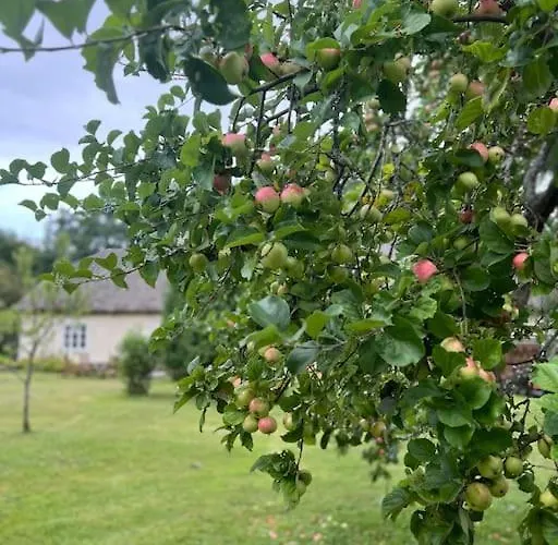 Σπίτι διακοπών Privaatne Talu Otse Mere Aeaeres