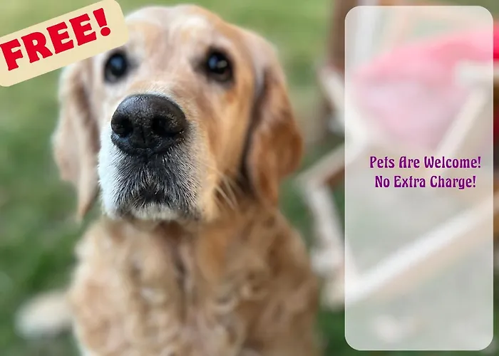 Privaatne Talu Otse Mere Aeaeres *